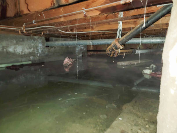 Best Fire Damage Restoration  in Westwood, PA