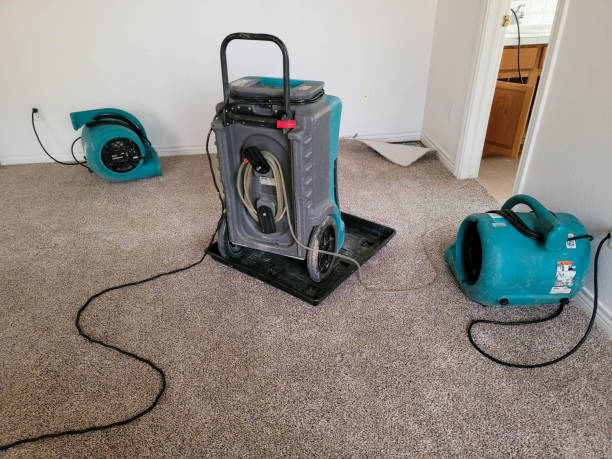 Best Commercial water damage restoration  in Westwood, PA