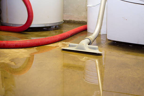 Best Emergency water damage restoration  in Westwood, PA