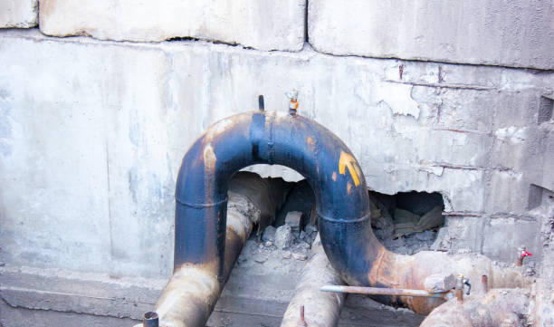 Best Water damage cleanup near me  in Westwood, PA